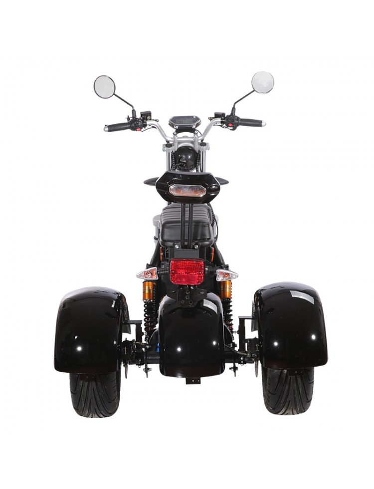 City coco 3 roues CP3 2000 watts 2 places avec...