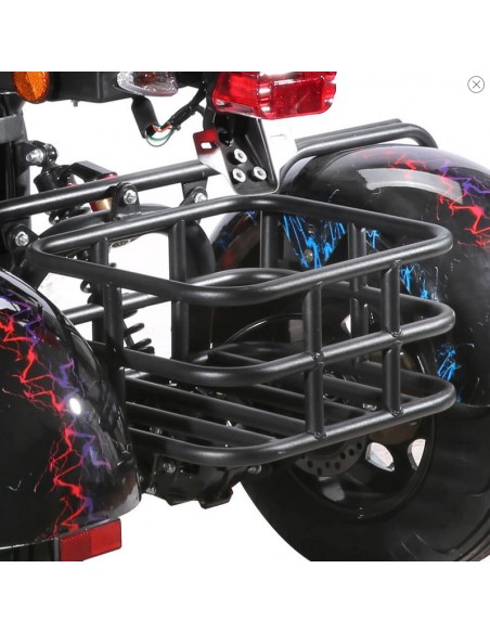 City coco 3 roues CP3 2000 watts 2 places avec panier