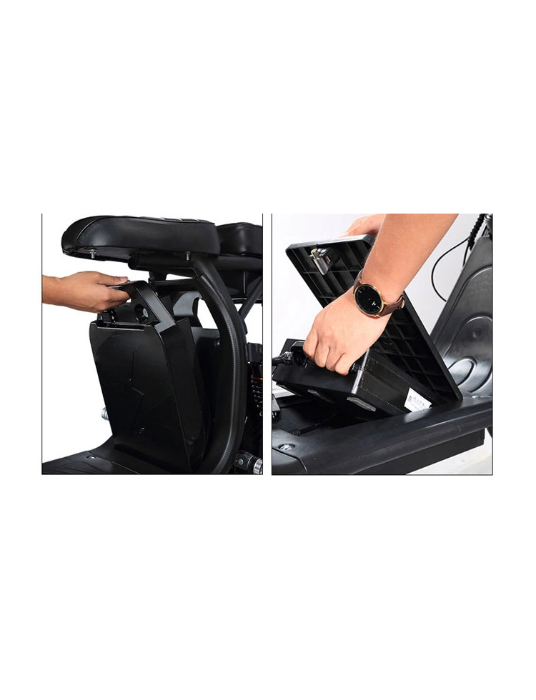 City coco range 1 Autonomie 45 km 1500 watts...