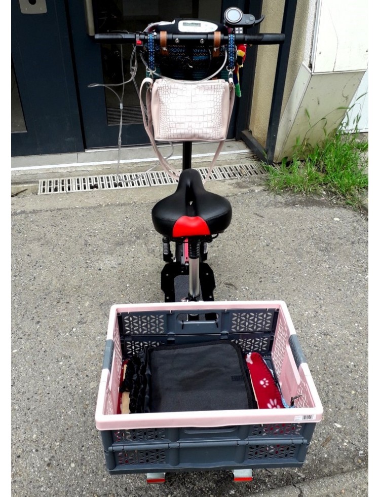 Trottinette électrique avec siège pour senior...