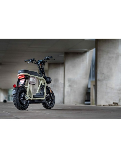 Coopop mini moto Mini Scooter électrique  48V...