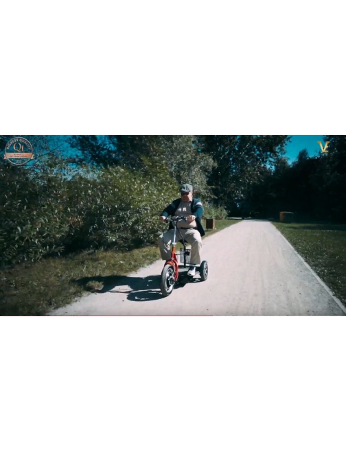 trottinette électrique 3 roues stable pour...