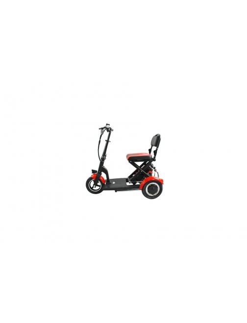 Batterie Folding 300 Lithium L-ion