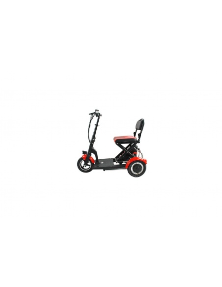 Batterie Folding 300 Lithium L-ion
