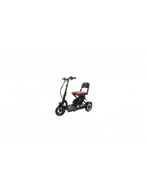 Batterie Folding 300 Lithium L-ion