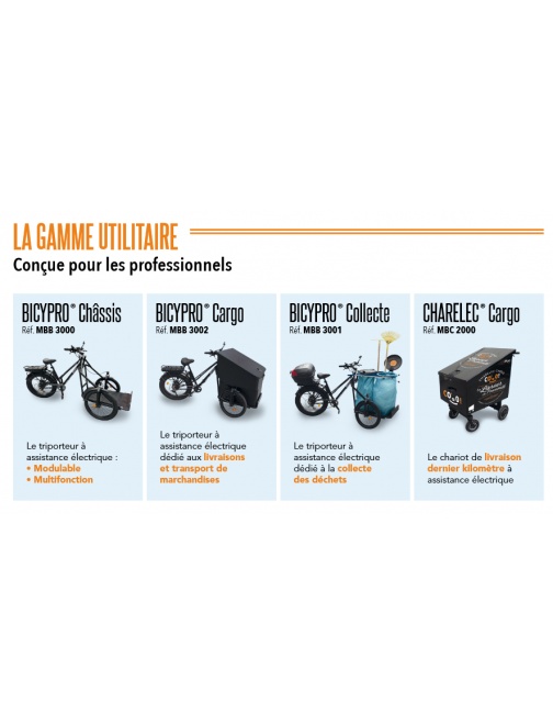 MOXO Tricycle porteur vélo 3 roues pour...