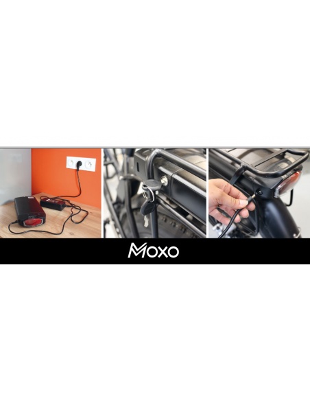 MOXO Tricycle porteur vélo 3 roues pour accompagner des personnes à mobilité réduite et handicapés