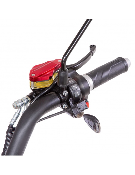 ESO 6.0S chopper roadster électrique 3000 watts