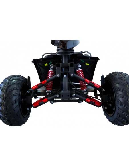 Scooter 4 roues homologué route - Monster X 900-M4