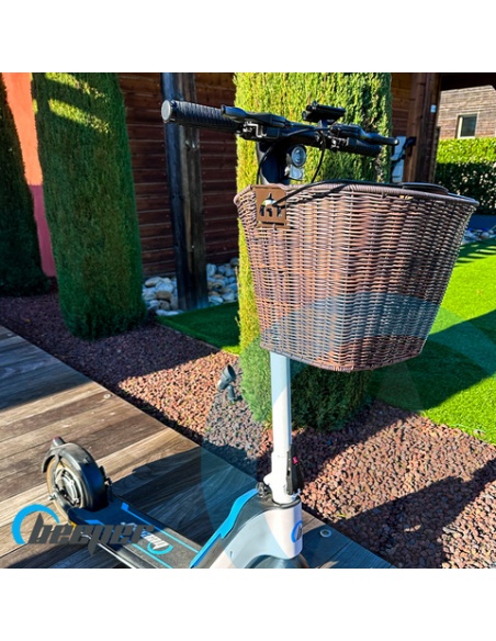 Panier pour trottinettes électriques