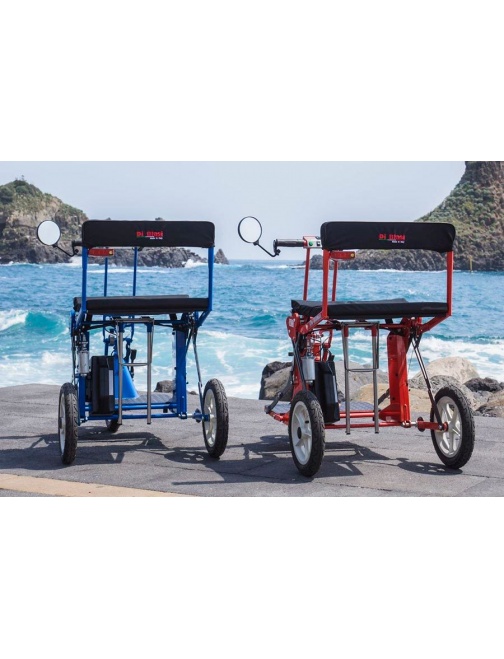 DI BLASI R30 - Trottinette 3 roues électrique...