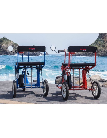DI BLASI R30 - Trottinette 3 roues électrique pliante à batterie amovible