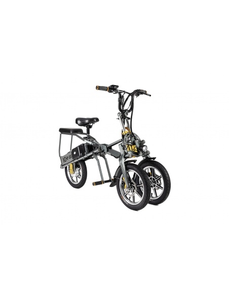 Batterie Ice Q10 - vélo électrique 3 roues