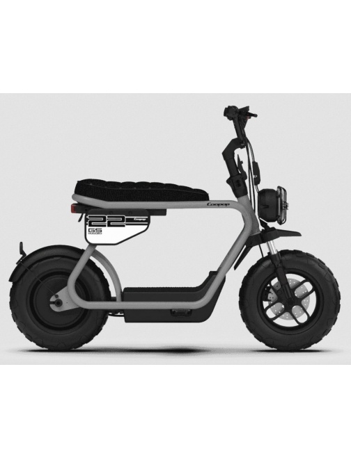 Coopop mini moto Mini Scooter électrique  48V...