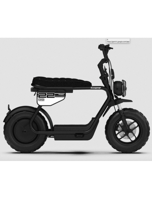 Coopop mini moto Mini Scooter électrique  48V...