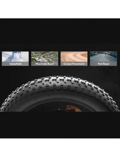 Fatbike électrique vélo VAE look fun