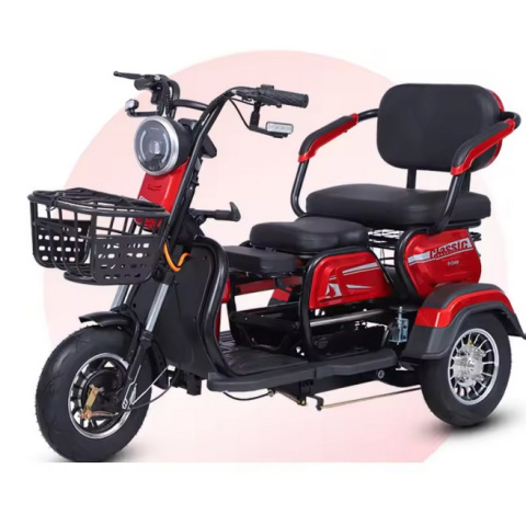 Scooter électrique TYTY 3 roues 2 places 60V 20ah 1000 watts