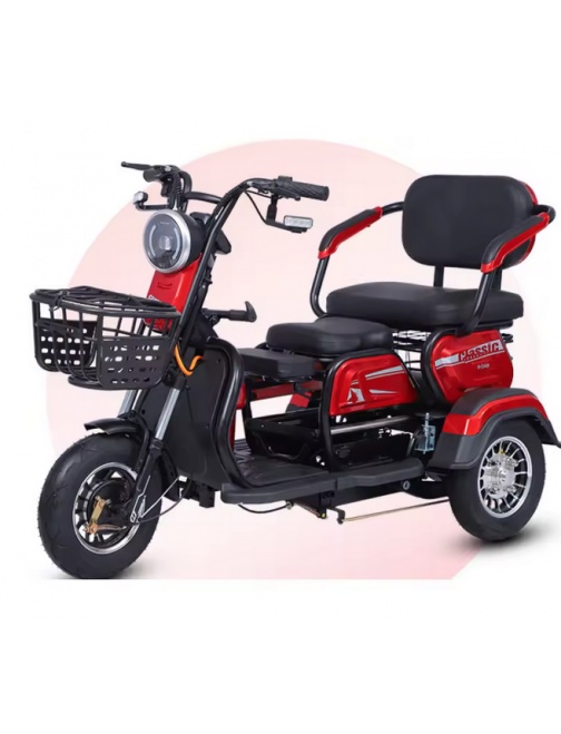 Scooter électrique TYTY 3 roues 2 places 60V...