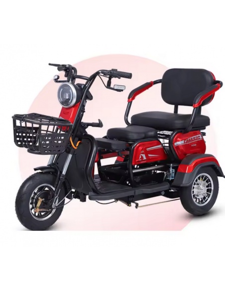 Scooter électrique TYTY 3 roues 2 places 60V 20ah 1000 watts