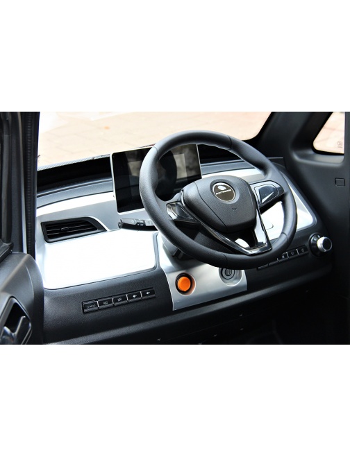Voiturette électrique sans permis FUTURI 4