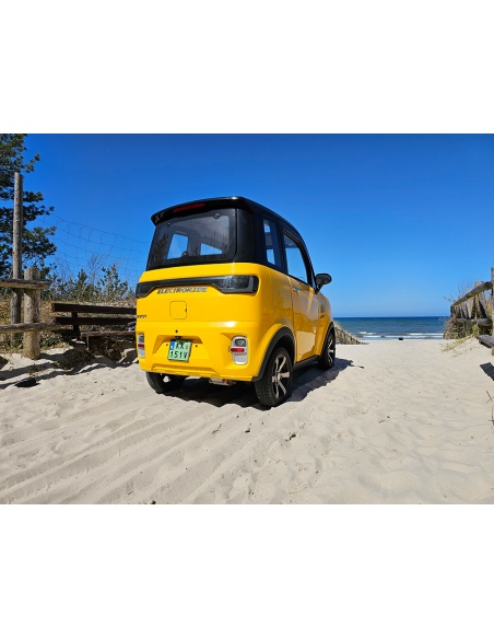 Voiturette électrique sans permis FUTURI 4