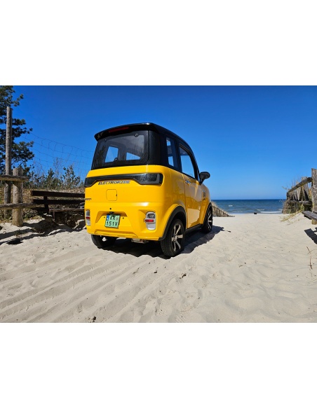 Voiturette électrique sans permis FUTURI 4