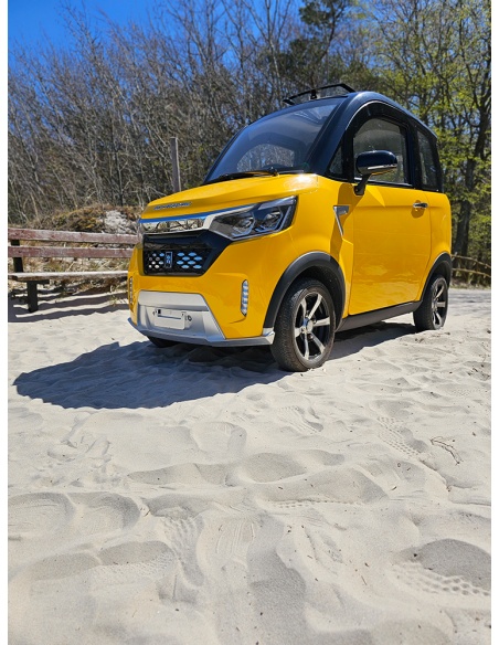 Voiturette électrique sans permis FUTURI 4