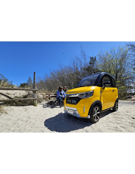 Voiturette électrique sans permis FUTURI 4