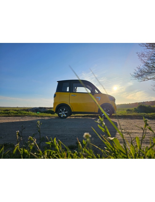 Voiturette électrique sans permis FUTURI 4