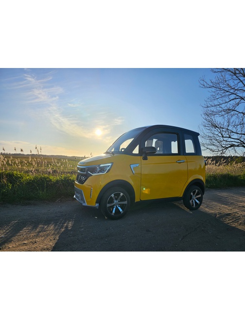 Voiturette électrique sans permis FUTURI 4