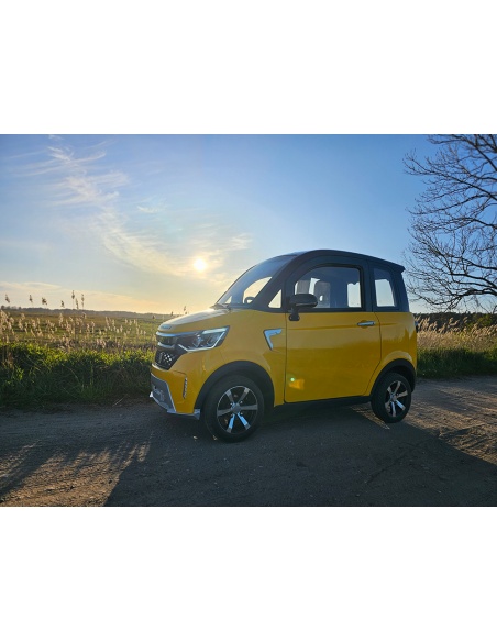 Voiturette électrique sans permis FUTURI 4