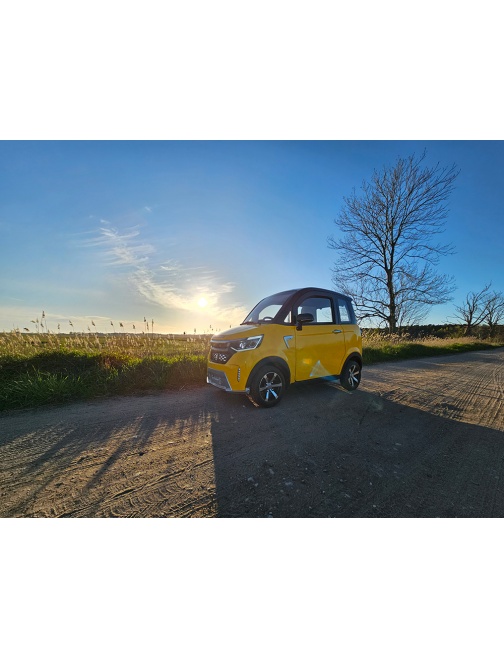 Voiturette électrique sans permis FUTURI 4