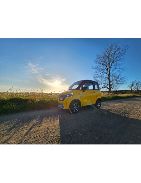 Voiturette électrique sans permis FUTURI 4