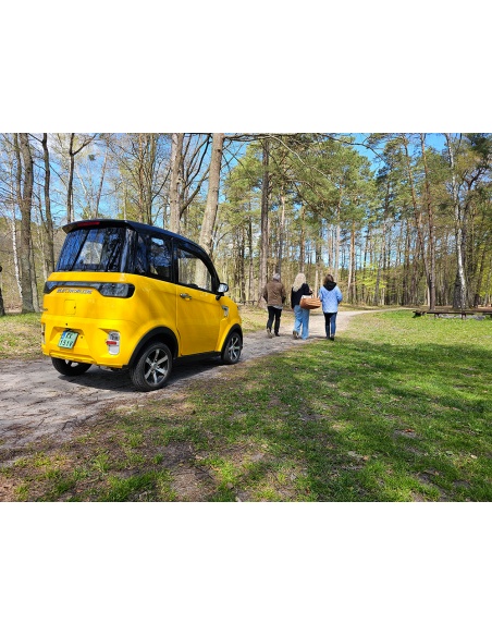 Voiturette électrique sans permis FUTURI 4