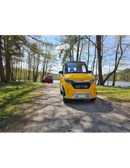 Voiturette électrique sans permis FUTURI 4