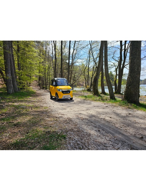 Voiturette électrique sans permis FUTURI 4