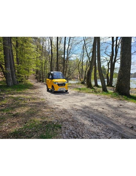 Voiturette électrique sans permis FUTURI 4