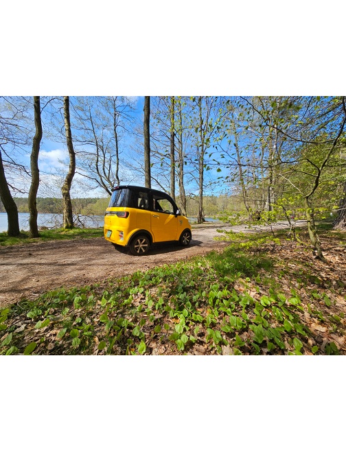 Voiturette électrique sans permis FUTURI 4