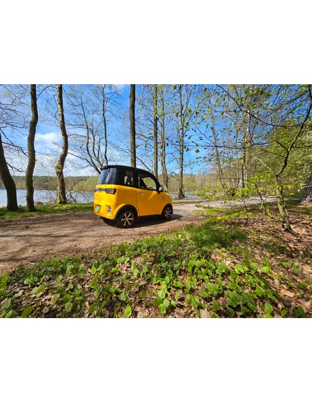 Voiturette électrique sans permis FUTURI 4