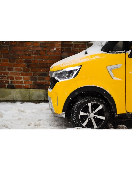 Voiturette électrique sans permis FUTURI 4