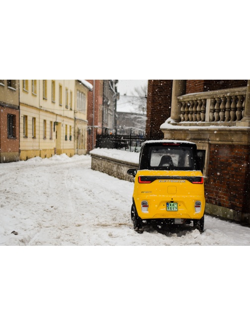 Voiturette électrique sans permis FUTURI 4