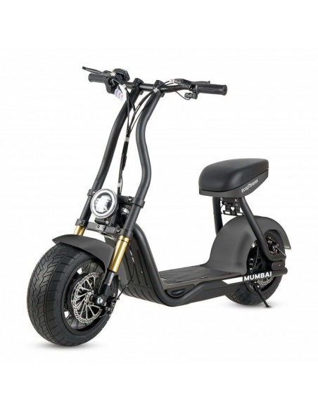 Maverick H10 scooter électrique 1000W 48v 12Ah