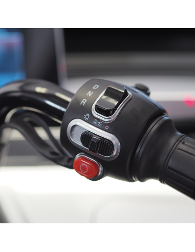 Voiturette ARAL 3000 watts sans permis 3 roues...