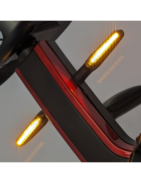 Trottinette électrique 3 roues FAJA pour personnes en situation de handicap 300 watts avec frein magnétique