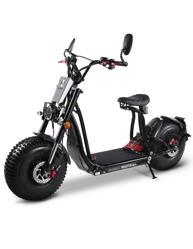 Scooter électrique 2 roues E-CRUISER 50cc...