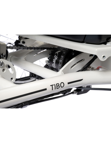 Tibo+ quadricycle électrique pour PMR et séniors