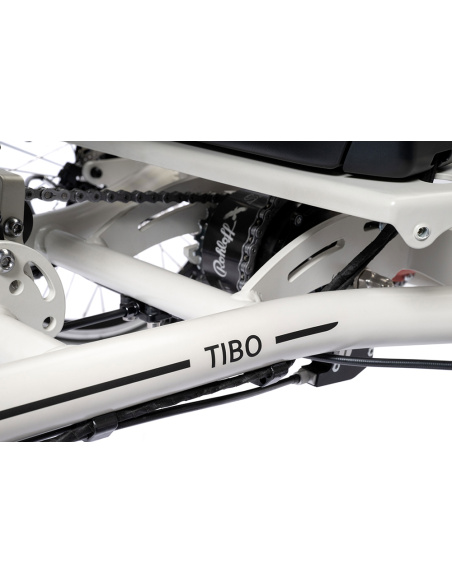 Tibo+ quadricycle électrique pour PMR et séniors