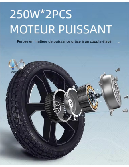 MAVY Fauteuil roulant électrique 4 roues 500 watts à dossier haut pour PMR et séniors