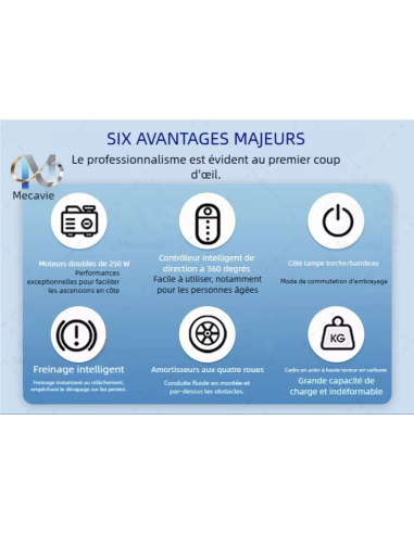 Fauteuil roulant électrique 4 roues MAVY à...