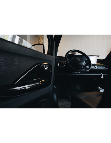 Futuri 4 PRO voiture electrique sans permis...